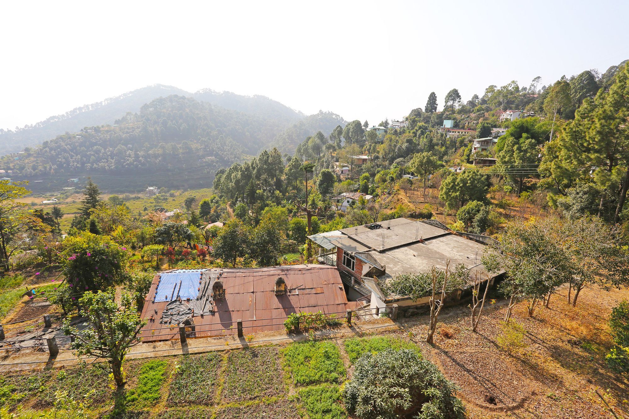 Oyo Home 10312 Spacious Studio Bhowali Nainital Eksteriør bilde
